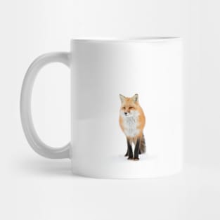 Red fox pose - Algonquin Park Mug